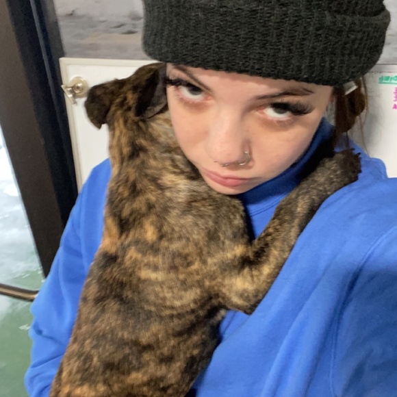 Meet your Posher, Molly - Picture 3 of 3